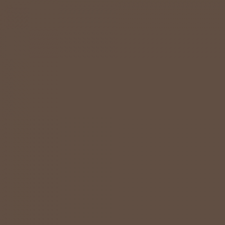 Краска Swiss Lake цвет English Brown SL-0708