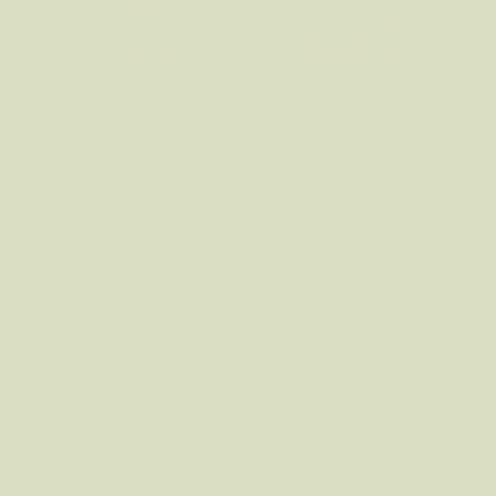 Краска Little Greene цвет NCS S 1010-G60Y