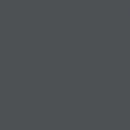 Краска Argile цвет Noir De Vigne T842 Mat Veloute 0.125 л