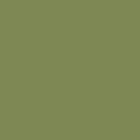 Краска Little Greene цвет NCS S 4030-G50Y