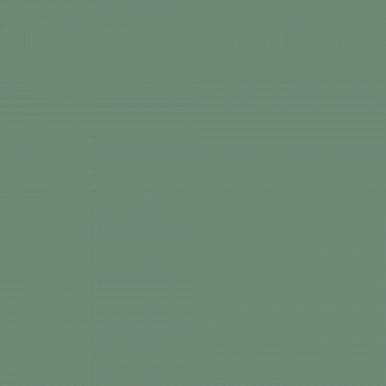 Краска Charmant цвет Jade NC36-0796 Sommet 0.9 л