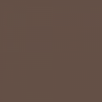 Краска Charmant цвет Dark Beer NC25-0465 Sommet 0.9 л