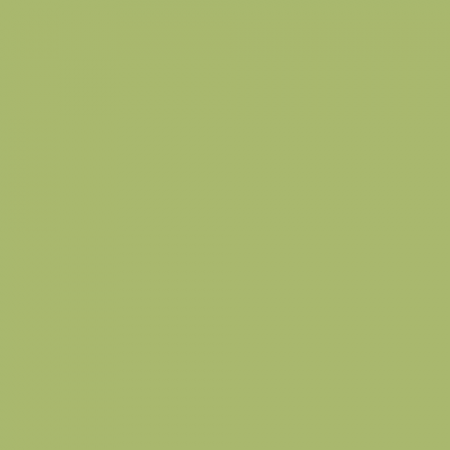 Краска Swiss Lake цвет Lime Green SL-2492