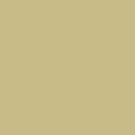 Краска Swiss Lake цвет Green beige RAL 1000