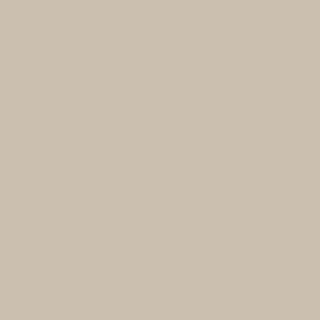 Краска Swiss Lake цвет Unbaked Clay NC11-0045