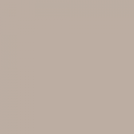 Краска Swiss Lake цвет Sassy Tan SL-0547