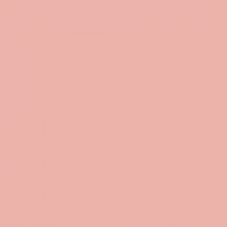 Краска Swiss Lake цвет Coral Blush SL-1461