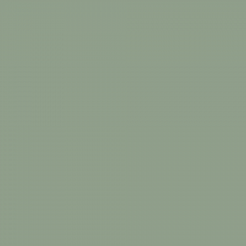 Краска Charmant цвет Green Zircon NC36-0793 Sommet 0.9 л