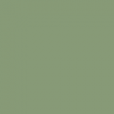 Краска Swiss Lake цвет Pale green 6021