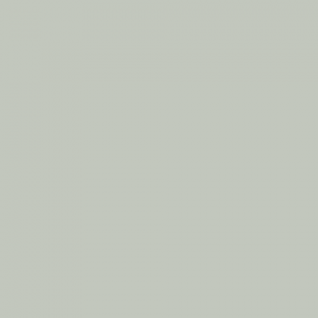 Краска Swiss Lake цвет Whale Skin NC34-0739