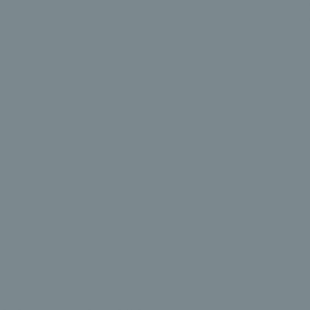 Краска Swiss Lake цвет Squirrel grey RAL 7000