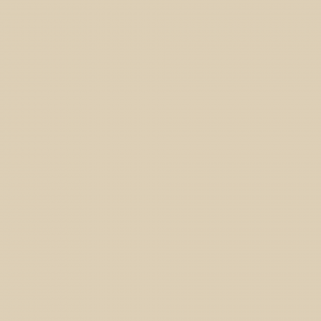 Краска Charmant цвет Turtledove NC13-0115 Sommet 0.9 л