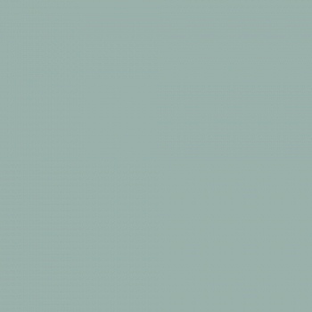 Краска Charmant цвет Juniper Candle NC35-0772 Sommet 0.9 л
