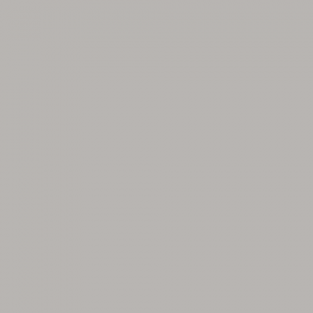 Краска Swiss Lake цвет Mountain Silence NC42-0973