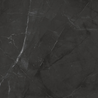 Таймлесс Графит Керамогранит графит LP6060G0041R 59,5х59,5 матовый карвинг