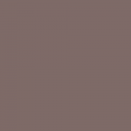 Краска Argile цвет Mauve Cendree V09 Mat Veloute 0.125 л