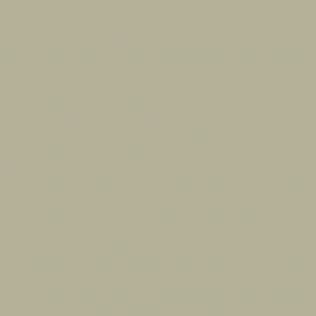 Краска Charmant цвет Autumn Green NC34-0740 Sommet 0.9 л