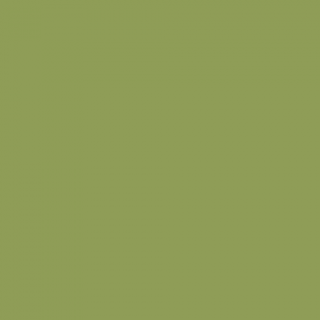 Краска Little Greene цвет NCS S 3040-G50Y