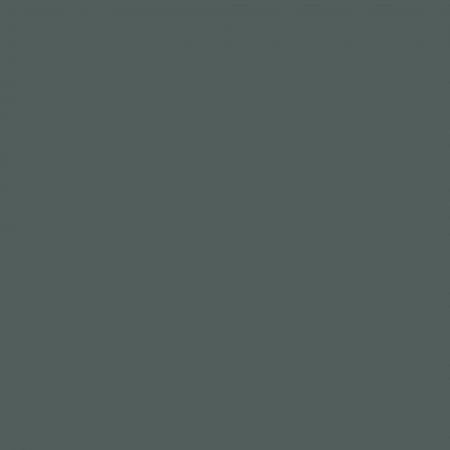Краска Charmant цвет Night Green NC36-0810 Sommet 0.9 л